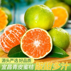 梦三峡 宜昌蜜桔现摘青皮当季时令桔子新鲜水果柑橘无籽鲜果橘子孕妇蜜橘