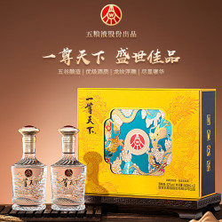 五粮浓香 五粮液股份出品 浓香型白酒礼盒52度 龙年生肖酒过节送礼礼盒 52度 500mL 2瓶