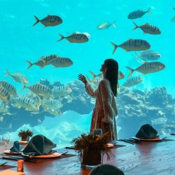 三亚海棠湾洲际2-3晚  选含正餐/海底餐厅晚餐