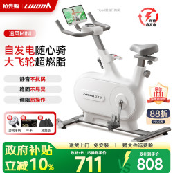 立久佳 动感单车自发电家用智能调阻运动健身器材室内自行车 追风MINI 自发电/10KG飞轮组/白