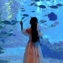 双11餐饮 涛·海底餐厅单人美式猪肋排午餐三亚海棠湾洲际酒店