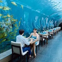 双11餐饮 涛·海底餐厅单人晚餐 三亚海棠湾洲际度假酒店