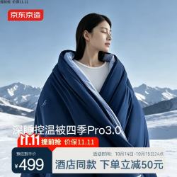 京东京造 控温深睡冬被pro3.0 加厚保暖被芯子母被免被套可机洗 2x2.3m