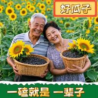 大颗500g焦糖味山核桃味原味净重葵花籽瓜子营养香脆零食炒货年货