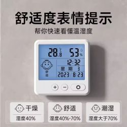 电子高精度迷你干温度计室内家用温度湿度表精准车载干温湿度计表