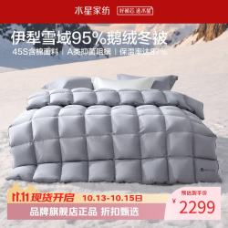 水星家纺 A类抑菌阻螨95%鹅绒冬被芯防钻绒秋冬羽绒被子 寒域静暖抗菌鹅绒冬被150cm×210cm