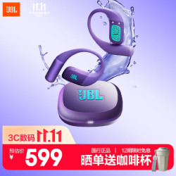 JBL Endurance Zone 真无线挂耳式蓝牙耳机 波斯紫