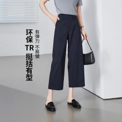 ESE-Y 藏肉遮胯薄休闲裤子女26夏新八分直筒裤