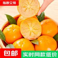 品质溏心巧克力脆柿子山西新鲜水果柿子当季黄甜脆火晶整箱包邮 带箱2斤（单果100g+）