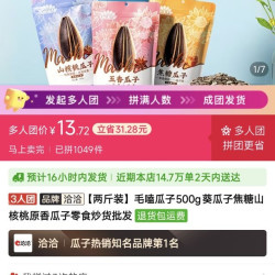 恰恰毛嗑瓜子