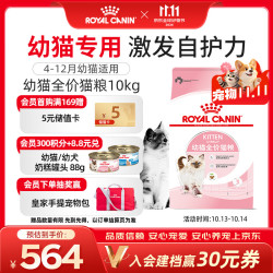 皇家 K36 幼猫配方 10kg 猫粮
