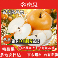 京觅 秋月梨 莱阳秋月梨 净重8.5斤  单果350g起 水果 源头直发
