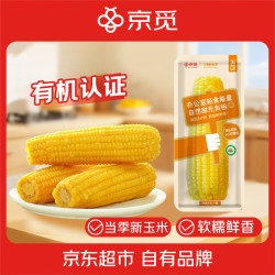 天勤粒粒净 黄糯有机玉米1穗*300g官方溯源采销甄选