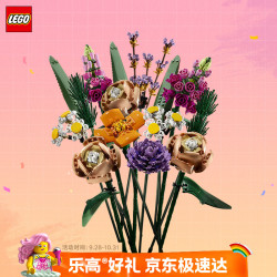 乐高 Botanical Collection植物收藏系列 10280 花束