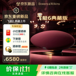 宝华韦健 Zeppelin Pro 典藏版齐柏林飞艇6代无线HIFI有源蓝牙音箱B&W桌面音响 勃艮第红限量