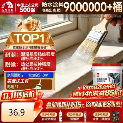 东方雨虹 雨虹防水 防水涂料 1KG