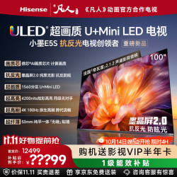 海信 电视小墨E5S 100吋 超薄挂架送装一体