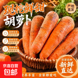 京喜 新鲜现挖胡萝卜冰糖心萝卜生吃脆甜榨汁沙拉减脂蔬菜 新鲜胡萝卜1斤 含箱