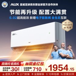 奥克斯 KFR-35GW/BpR3GES1(B1) 一级能效变频 壁挂式空调