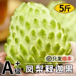 福瑞达 新鲜凤梨释迦果5斤牛奶大目番荔枝佛头摩尼果当季水果整箱10林檎