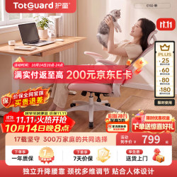 护童 人体工学椅 浮翼腰托可躺 E102