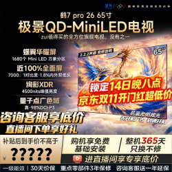 TCL 雷鸟电视 65R79A Pro 65鹤7 PRO 26款 65英寸  蝶翼华曜屏 万象分区 平板电视机
