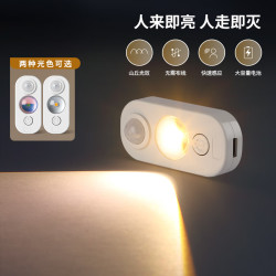 雷士 Lighting小夜灯猫眼磁吸充电感应灯波纹橱柜灯酒柜展柜玄关起夜氛围灯 猫眼磁吸灯-暖光款-人体感应