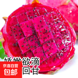 京喜 海南金都红心火龙果自然成熟果园严选香甜多汁果肉饱满超解馋 小份四粒装 单果