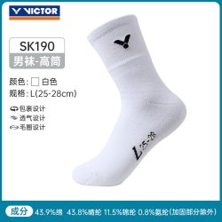 威克多 SK-190 男款运动袜