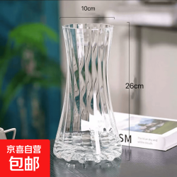 京喜 玻璃花瓶高级简约轻奢加厚ins风透明水养富贵竹鲜花插花客厅摆件 特大号轻奢透明
