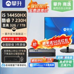 攀升 兄弟睿龙T412代13代小主机