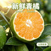 宜昌早熟蜜橘新鲜橘子孕妇水果湖北云南青皮桔子整箱柑橘