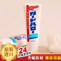 花王 大白牙膏原装进口含氟防蛀牙膏口气清新薄荷味165g