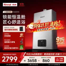 林内 16升极光灰燃气热水器 恒温芯 天然气热水器16GD33（JSQ31-GD33）