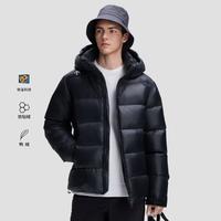 迪桑特 SKI STYLE系列运动休闲男士羽绒服