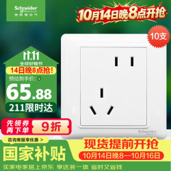 施耐德 Electric 施耐德电气 Brillyn睿意系列 A3E426_10UA 86型插座 斜五孔 白色 十支装