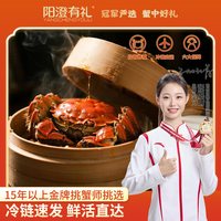 阳澄有礼 精品大闸蟹8只公+母鲜活螃蟹湖鲜礼盒去绳净重