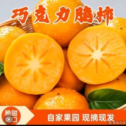 阳丰脆柿巧克力脆柿