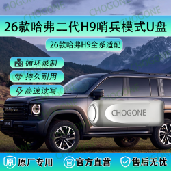 CHOGONE26款二代哈弗H9哨兵模式专用U盘优盘USB3.0高速优盘哨兵模式U盘专用U盘 256GB 长城H10行车记录仪哨兵模式专用U盘