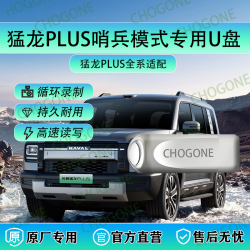 CHOGONE猛龙plus哨兵模式专用U盘高速USB3.0专用U盘行车记录仪专用U盘 256GB 猛龙plus哨兵模式专用U盘