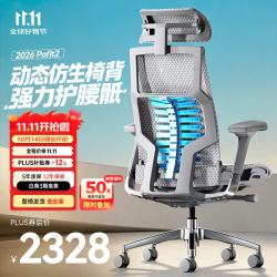 保友办公家具 Pofit 2代 智能人体工学椅 银白色美国网