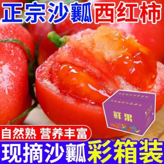 4.5斤彩箱新鲜沙瓤西红柿现摘水果番茄生吃柿子露天批发自然熟