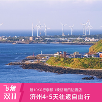 韩国旅游济州直飞4-5天往返自由行 首晚济州四钻酒店