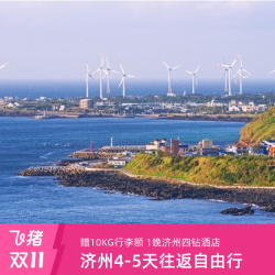 韩国旅游济州直飞4-5天往返自由行 首晚济州四钻酒店