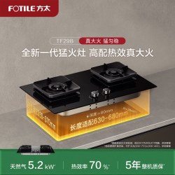 方太 JZT-02-TH29B 燃气灶