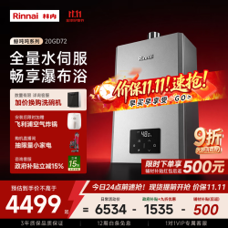 林内 JSQ40-GD72 燃气热水器 20L