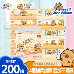 清风 加厚 悬挂式面巾纸 4层3大提