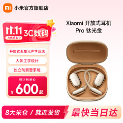 小米 开放式耳机Pro 钛光金