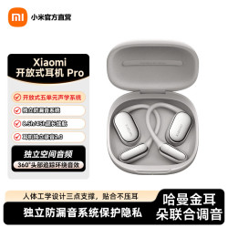 小米 开放式耳机Pro 银色