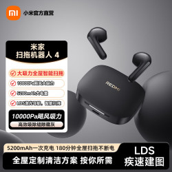 小米 红米 REDMI Buds 7S 真无线蓝牙耳机 子黑夜